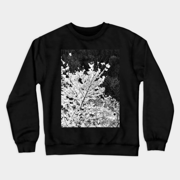 Snow Crewneck Sweatshirt by AHelene